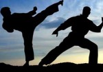 artes-marciais-barramansa-1374782235