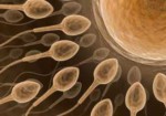 clinicas-de-fertilizacao-humana-barramansa-1374862545