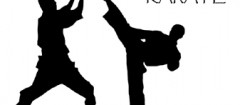 karate-barramansa-1374788137