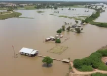 transbordamento do Rio Turvo