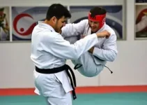 Copa de Taekwondo