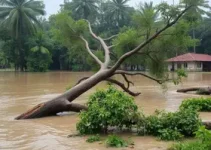 temporal em Barra Mansa