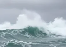 alerta de vendaval