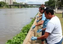 Limpa Rio