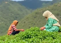 sustentabilidade