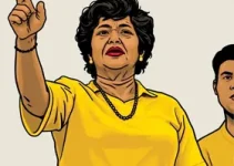 afastamento presidente câmara barra mansa