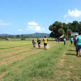 Circuito Rural