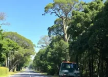 Barra Mansa