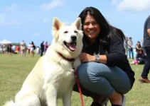 Pai de Pet em Barra Mansa