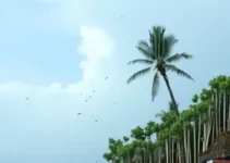 Defesa Civil Barra Mansa chuvas e rajadas de vento